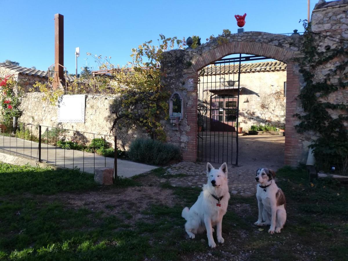 Mas Del Llop Blanc - Dog Friendly Hostal Rural - B&B Sobrestany Exterior photo